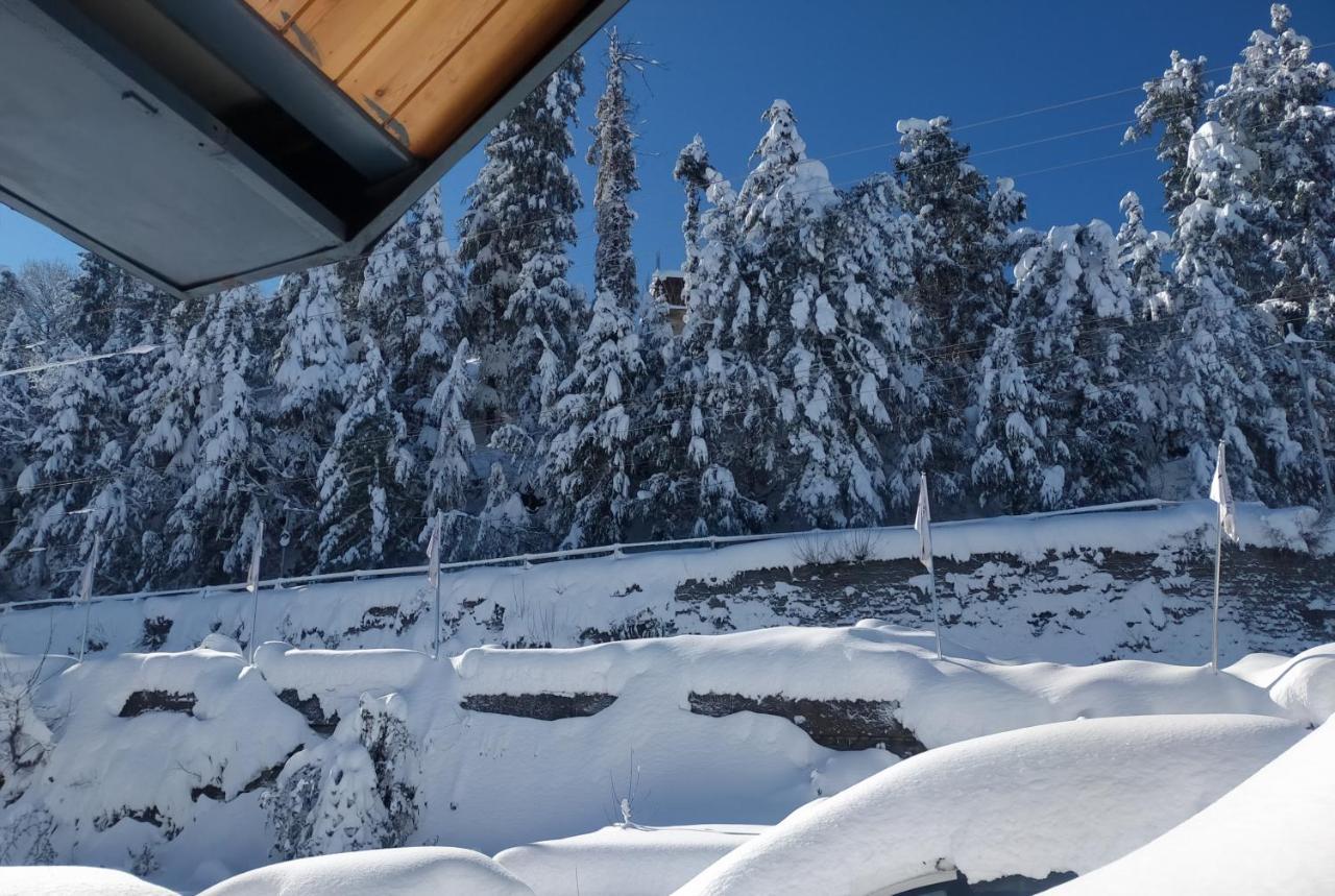 Radisson Kufri Hotel Shimla Luaran gambar